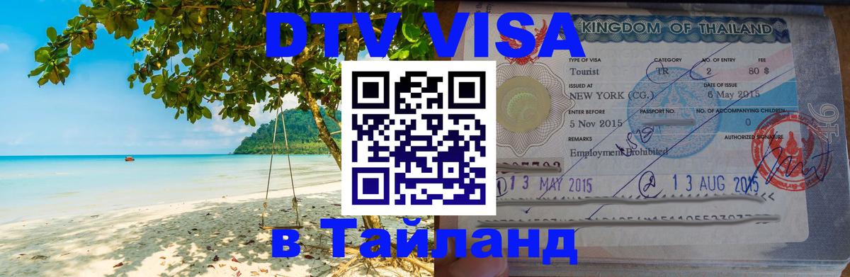 Оформление DTV визы под ключ: стоимость и тарифы, только загранпаспорт - Новошахтинск 